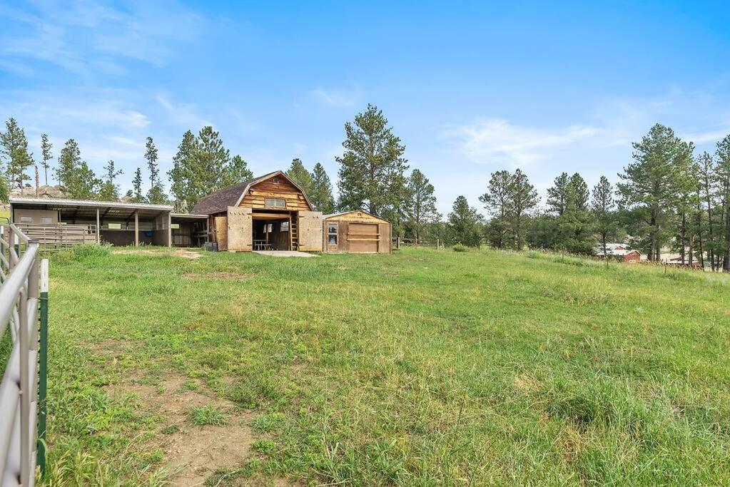 Papa'S Place On Willow Creek Custer Ngoại thất bức ảnh